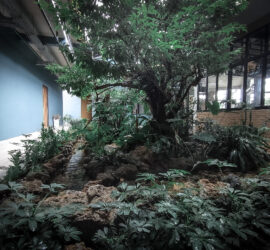 0B3D0CE2-57B3-4793-ADA1-8733C320C1A8