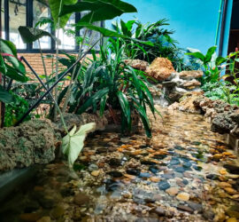 1183BAF4-D8A6-4885-BC37-C062157C1FC4