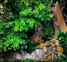 17648F41-BB19-49C1-A012-6FAB94B33E6C