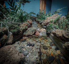 25CF04A5-8321-4956-B949-822C113FE41F