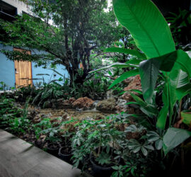 4817FB98-6D7F-4672-A99A-C8427AA75E67