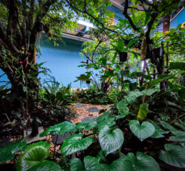 656B9C9B-C75B-4883-8371-0771CA466B82