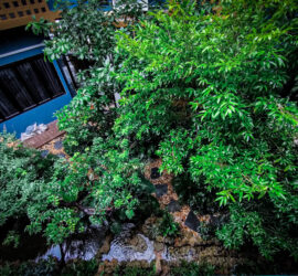 8F5DF69F-4A9D-42E4-AE74-A4455AB55D82