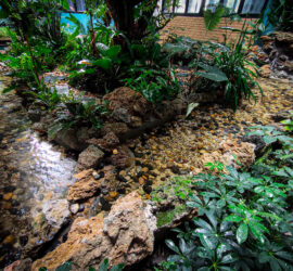 905CAD2A-228B-43CD-B216-59F2699190E3