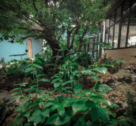 E2023076-B997-4D9F-837A-1C9A3BE0E259