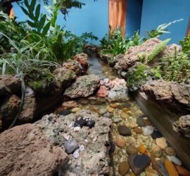 EE945D1D-7E49-4DBC-95CE-D5A5EDF7AA3C