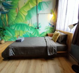 IMG20220515151602-d37b3ca9